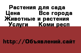 Растения для сада › Цена ­ 200 - Все города Животные и растения » Услуги   . Коми респ.